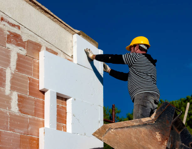Best Insulation Installation Services in Zephyrhills South, FL