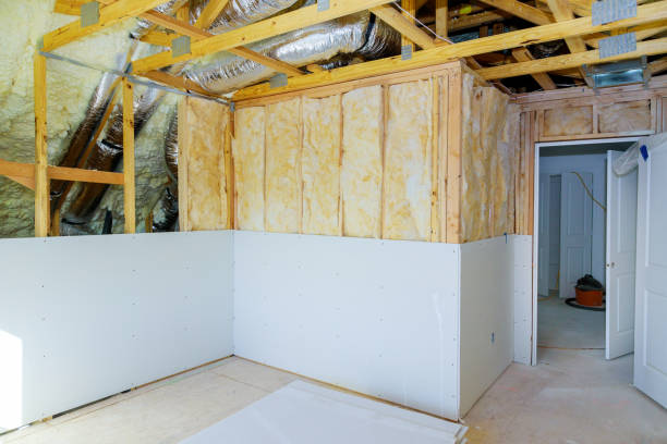 Best Types of Insulation in Zephyrhills South, FL