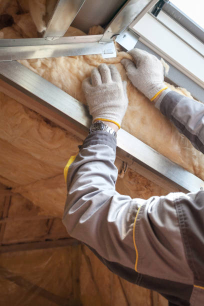 Best Insulation for Specific Applications in Zephyrhills South, FL